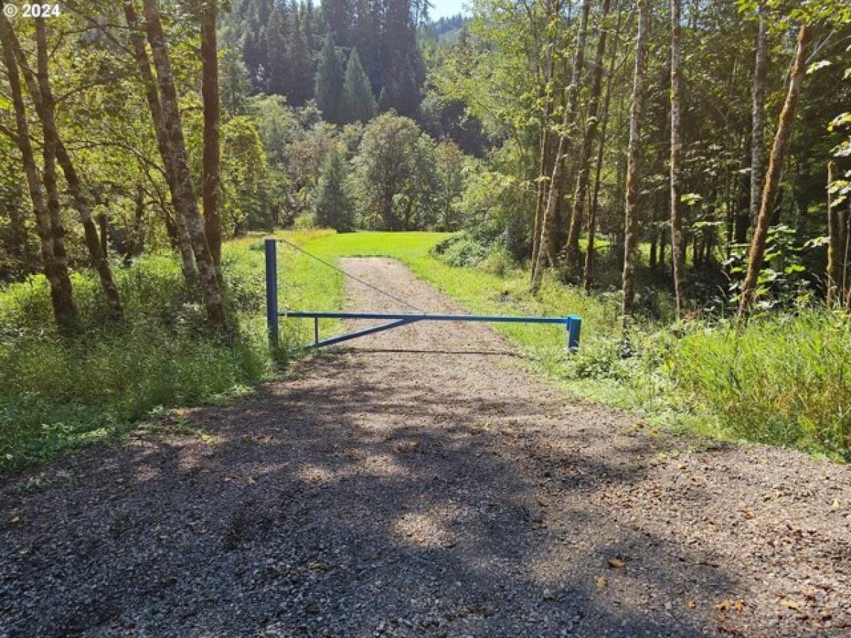 Picture of Residential Land For Sale in Kelso, Washington, United States