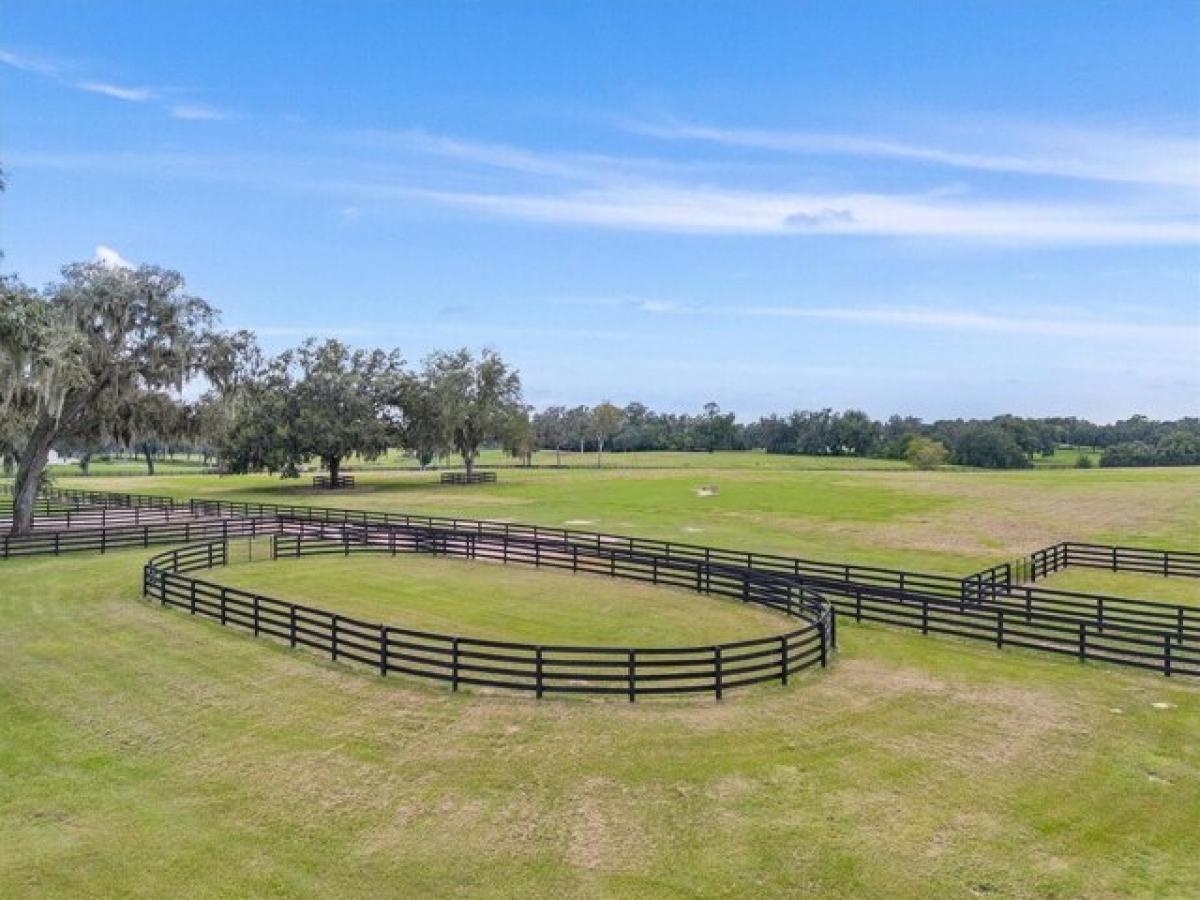 Picture of Residential Land For Sale in Summerfield, Florida, United States