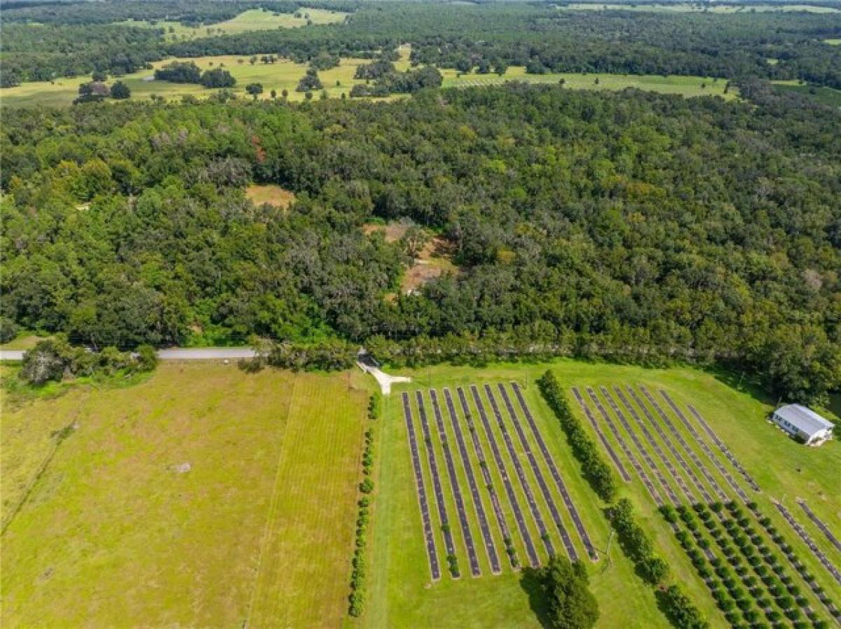 Picture of Residential Land For Sale in Brooksville, Florida, United States