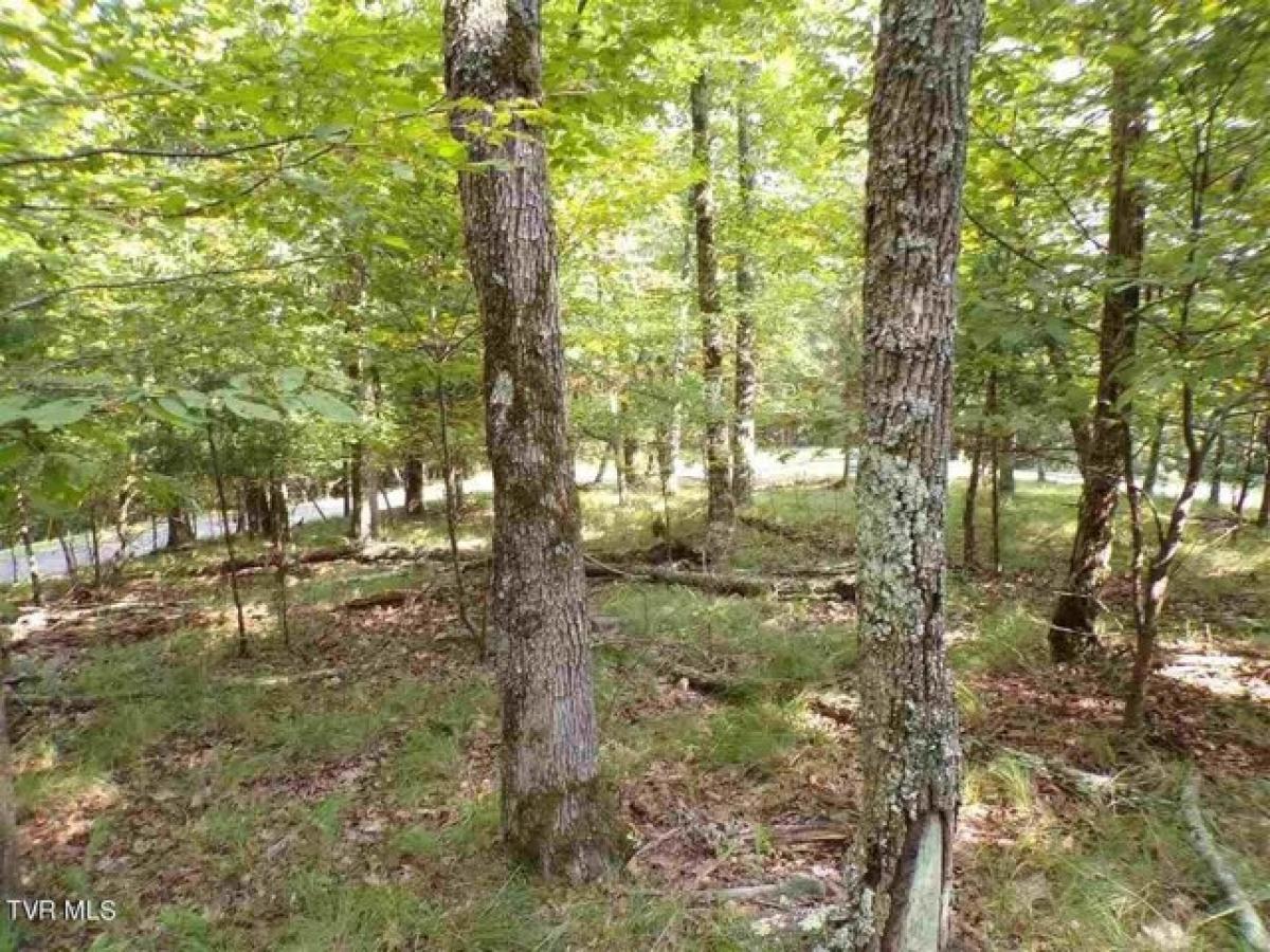 Picture of Residential Land For Sale in Mooresburg, Tennessee, United States