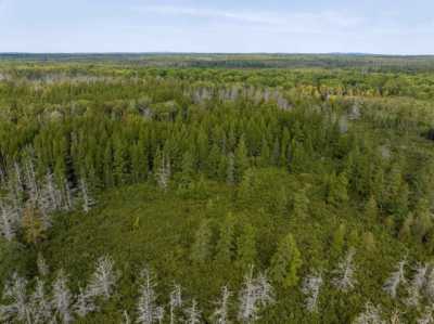 Residential Land For Sale in Glidden, Wisconsin