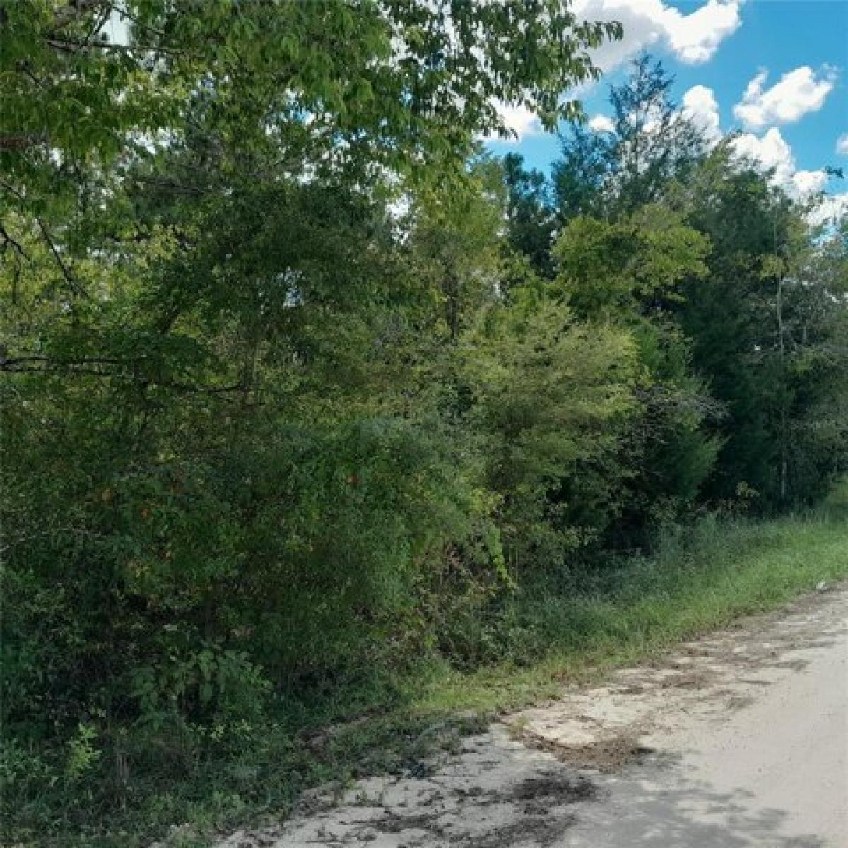 Picture of Residential Land For Sale in Morriston, Florida, United States