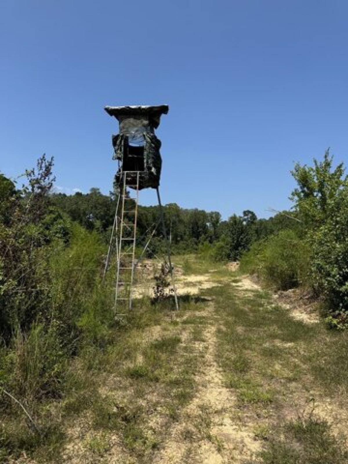 Picture of Residential Land For Sale in Crosby, Mississippi, United States