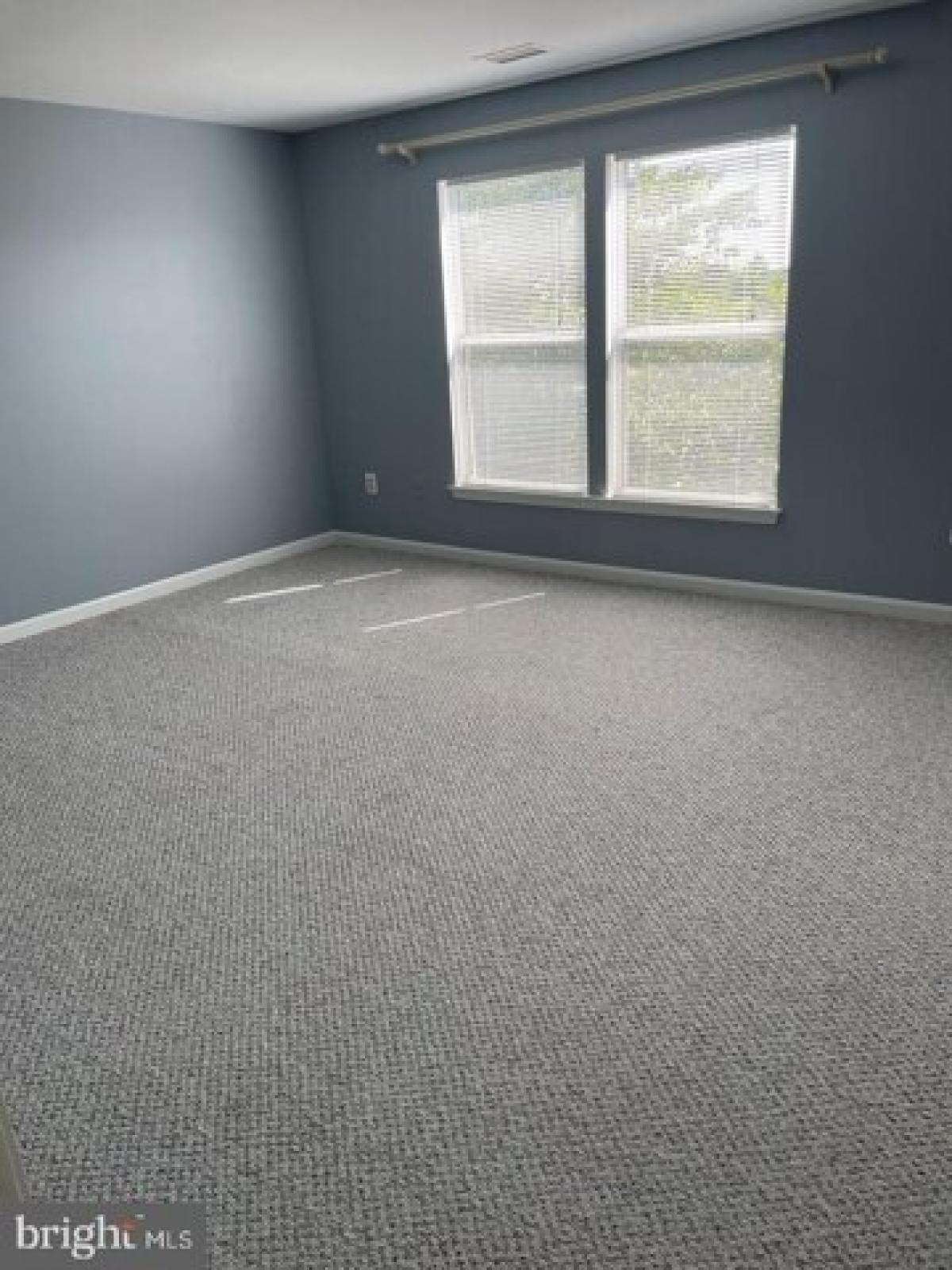 Picture of Apartment For Rent in Ashburn, Virginia, United States