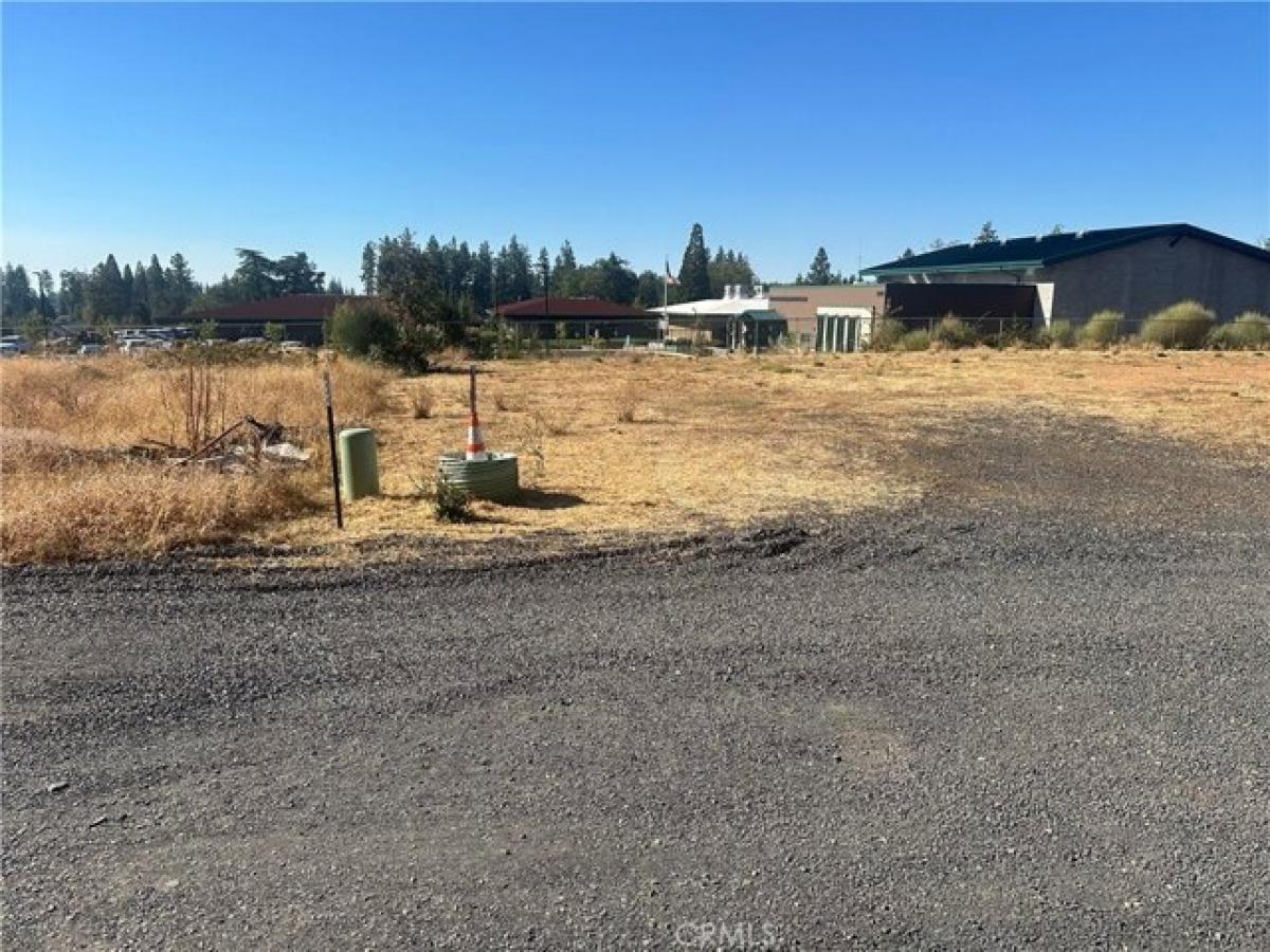 Picture of Residential Land For Sale in Paradise, California, United States