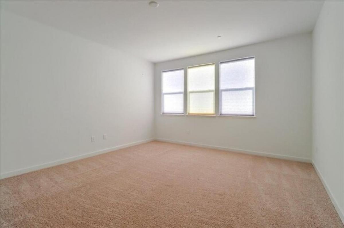 Picture of Apartment For Rent in San Jose, California, United States