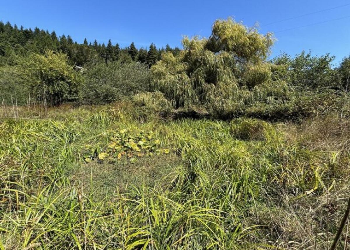 Picture of Home For Sale in Arcata, California, United States