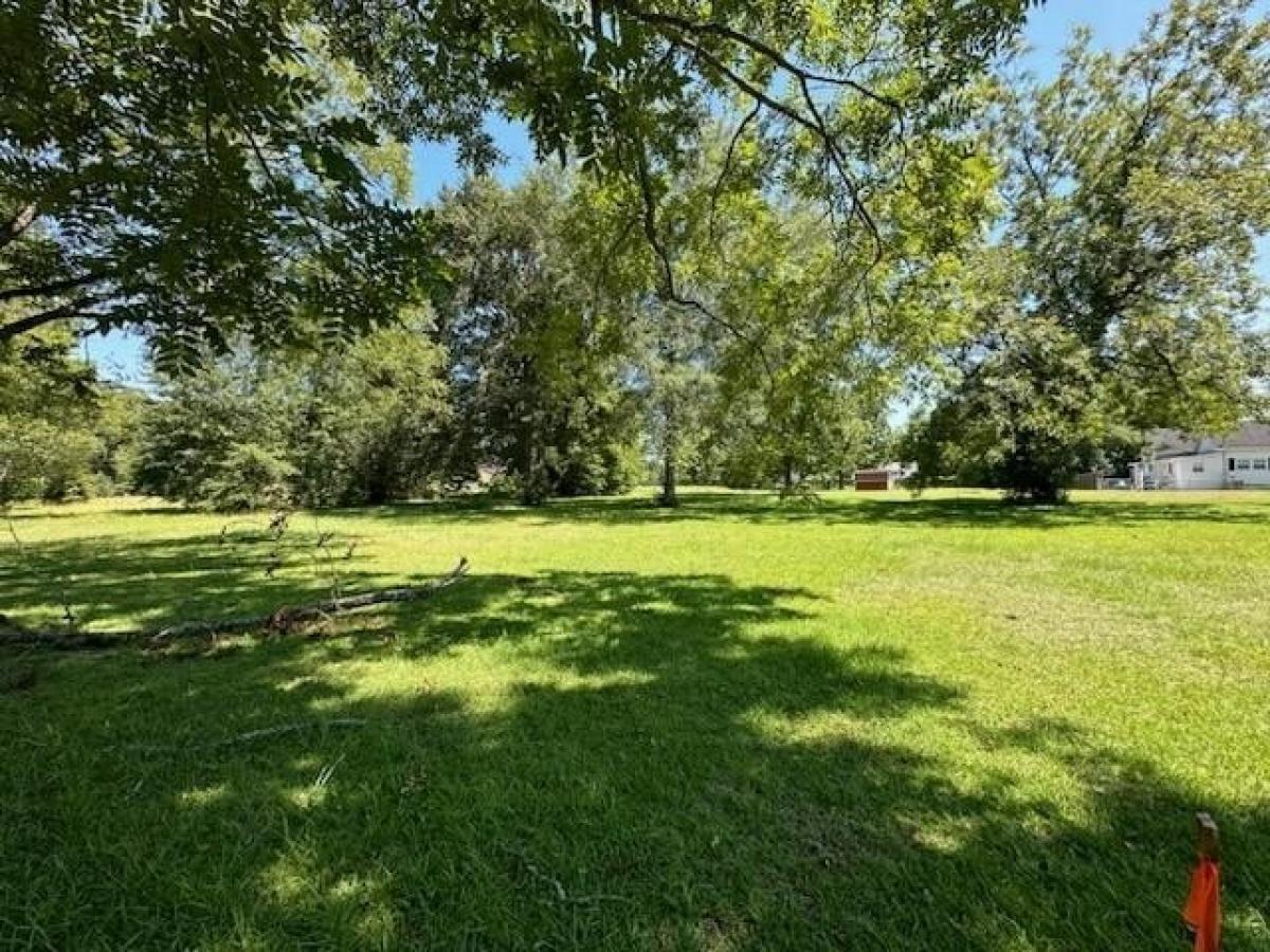 Picture of Residential Land For Sale in Midland City, Alabama, United States