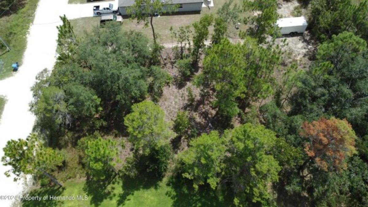 Picture of Residential Land For Sale in Weeki Wachee, Florida, United States