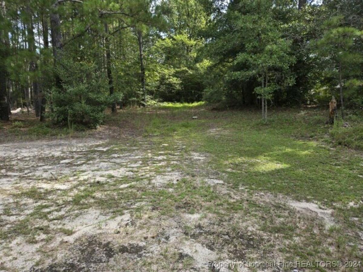 Picture of Residential Land For Sale in Vass, North Carolina, United States