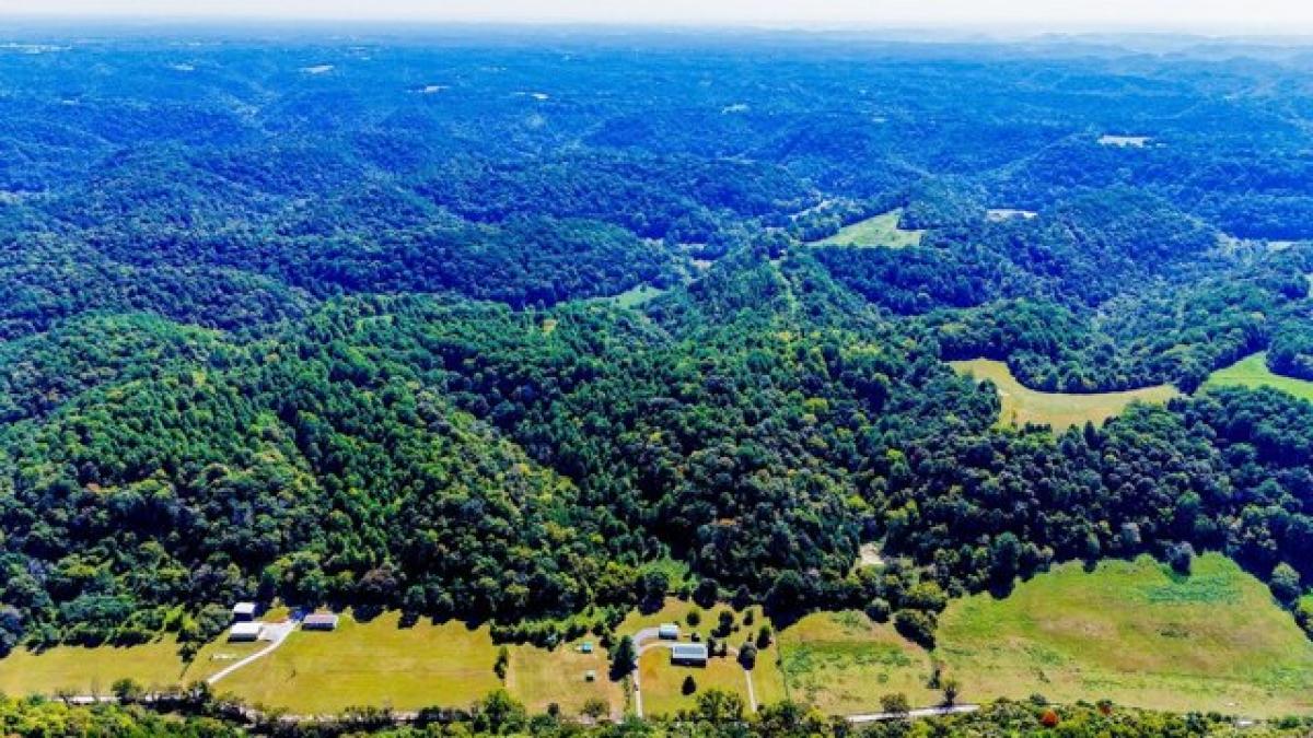 Picture of Residential Land For Sale in Pleasant Shade, Tennessee, United States