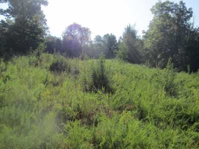 Residential Land For Sale in 