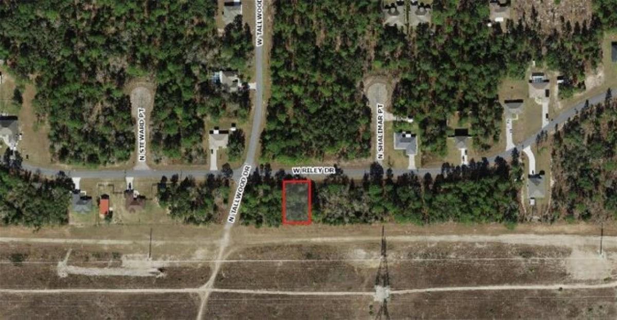 Picture of Residential Land For Sale in Citrus Springs, Florida, United States