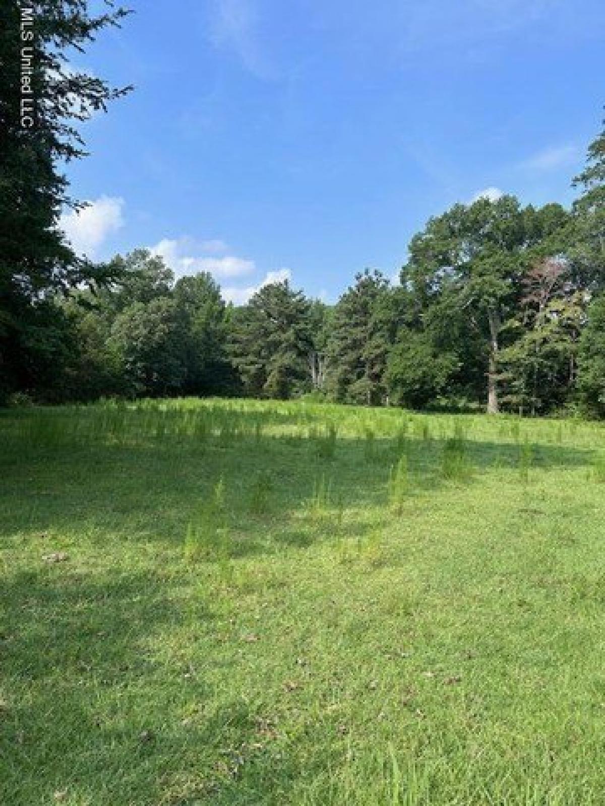 Picture of Residential Land For Sale in Florence, Mississippi, United States