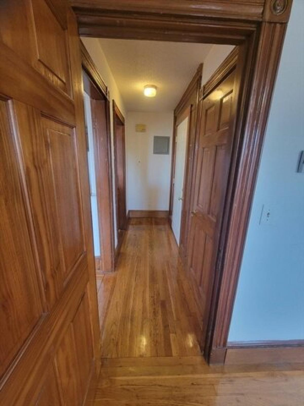 Picture of Apartment For Rent in Boston, Massachusetts, United States