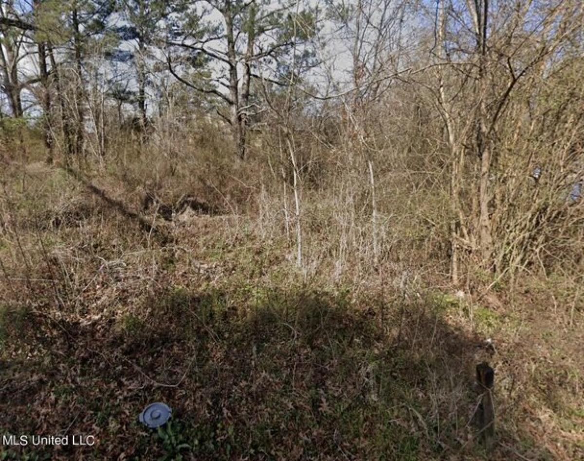 Picture of Residential Land For Rent in Jackson, Mississippi, United States