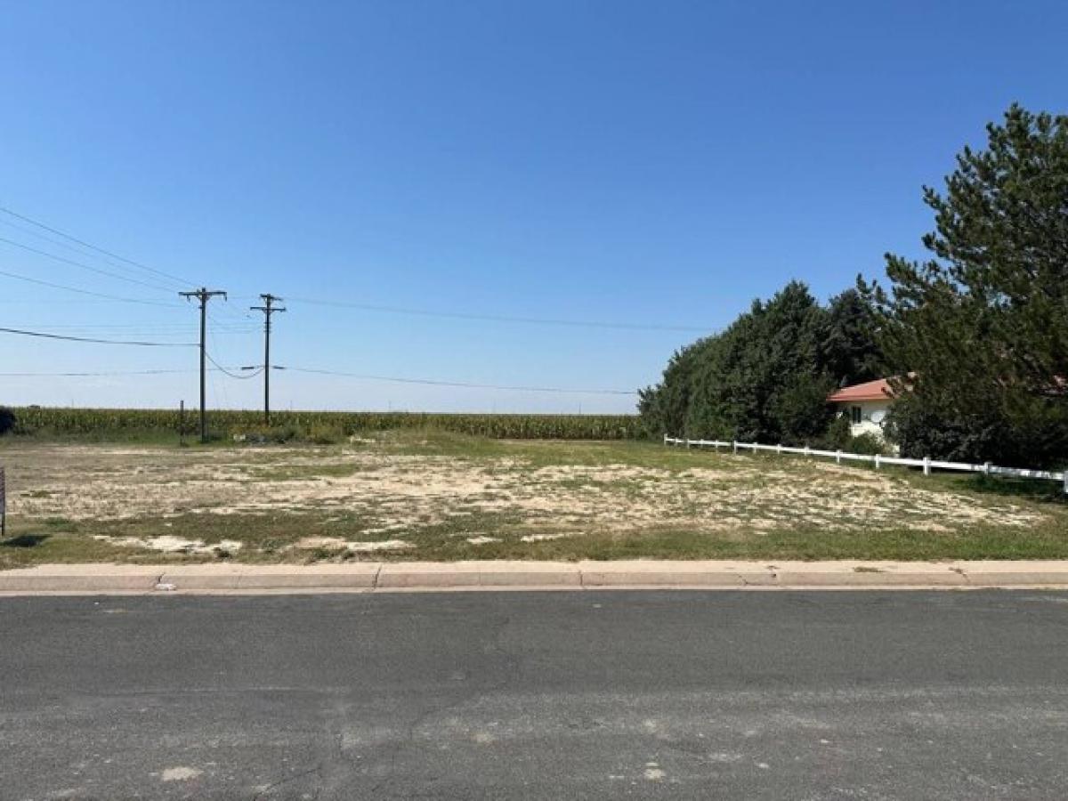 Picture of Residential Land For Sale in Yuma, Colorado, United States