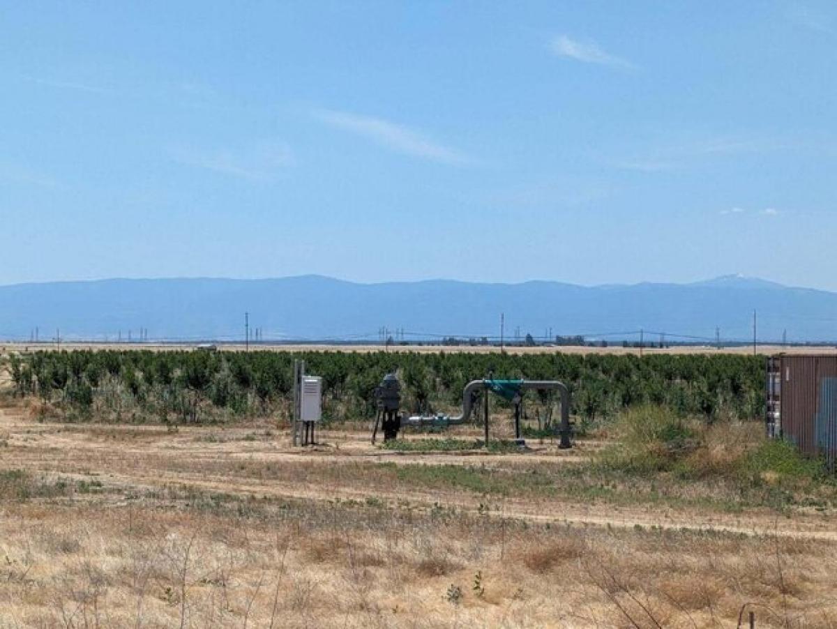 Picture of Residential Land For Sale in Red Bluff, California, United States