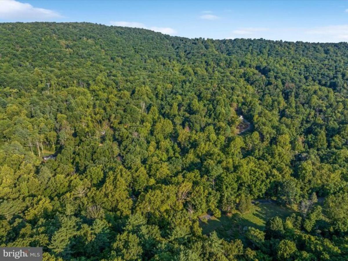 Picture of Residential Land For Sale in Bentonville, Virginia, United States