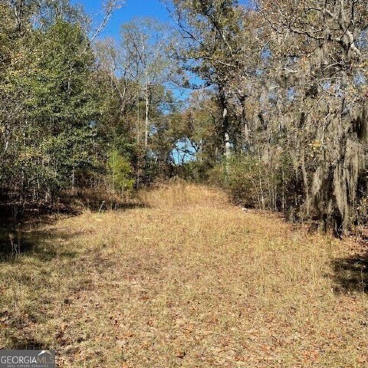 Picture of Residential Land For Sale in Buena Vista, Georgia, United States