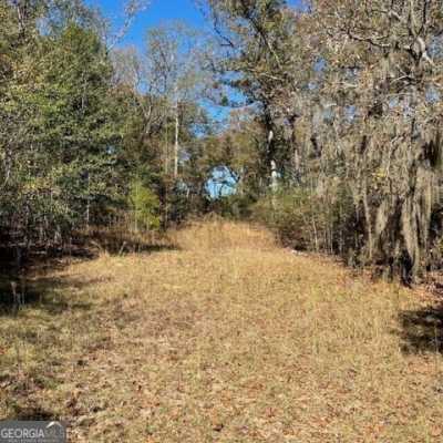 Residential Land For Sale in Buena Vista, Georgia