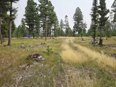 Residential Land For Sale in Gold Creek, Montana