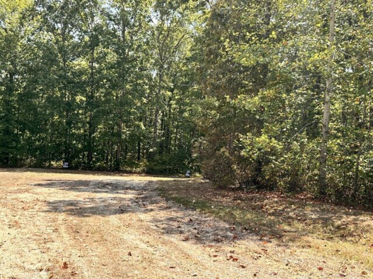 Picture of Residential Land For Sale in Hurricane Mills, Tennessee, United States