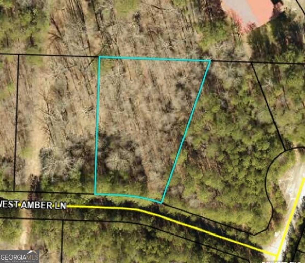 Picture of Residential Land For Sale in Rockmart, Georgia, United States