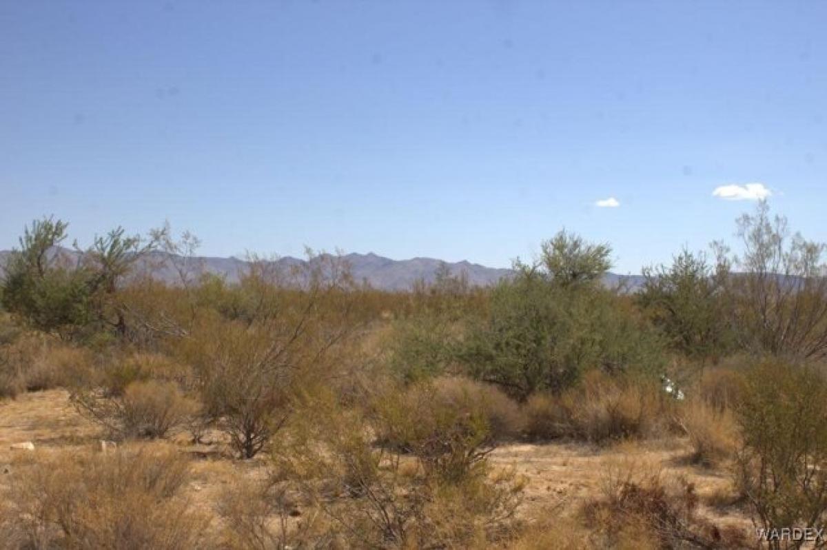 Picture of Residential Land For Sale in Golden Valley, Arizona, United States