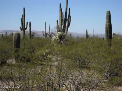 Residential Land For Sale in Sahuarita, Arizona