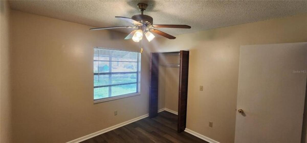 Picture of Home For Rent in Temple Terrace, Florida, United States