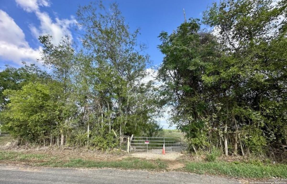 Picture of Home For Sale in Atascosa, Texas, United States