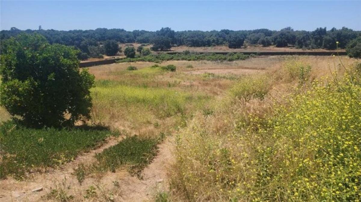 Picture of Residential Land For Sale in Nipomo, California, United States