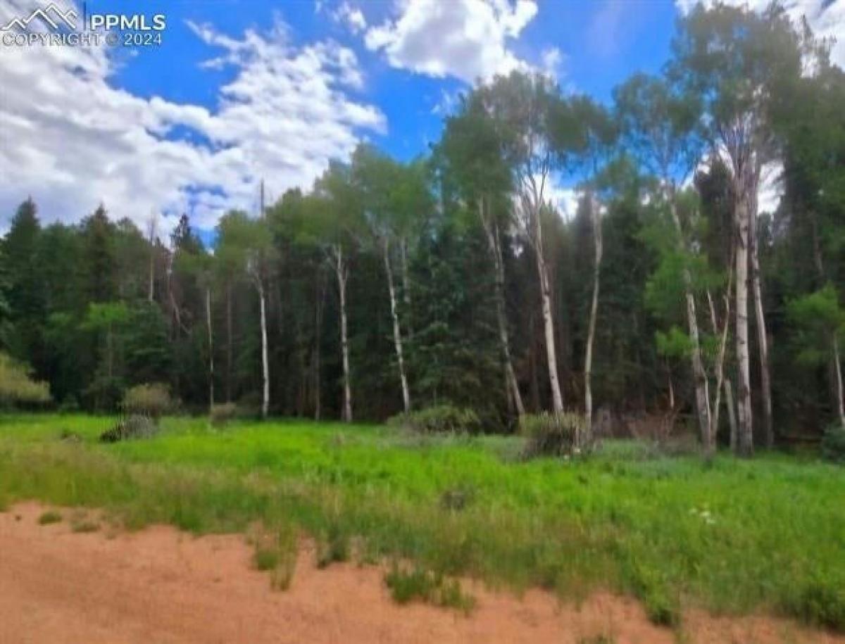 Picture of Residential Land For Sale in Florissant, Colorado, United States