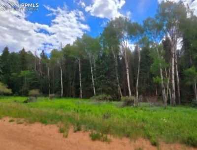 Residential Land For Sale in Florissant, Colorado