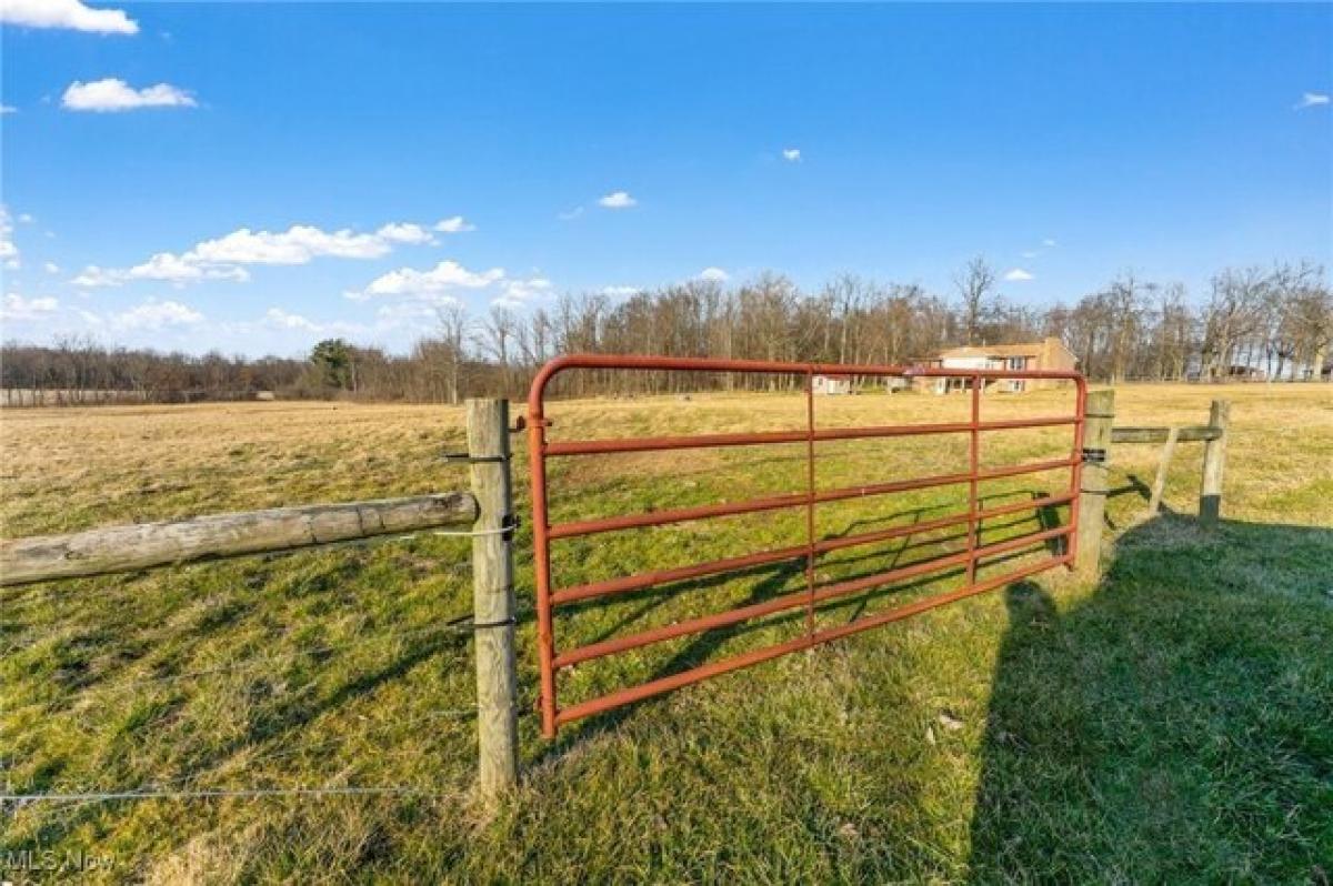 Picture of Residential Land For Sale in Canfield, Ohio, United States