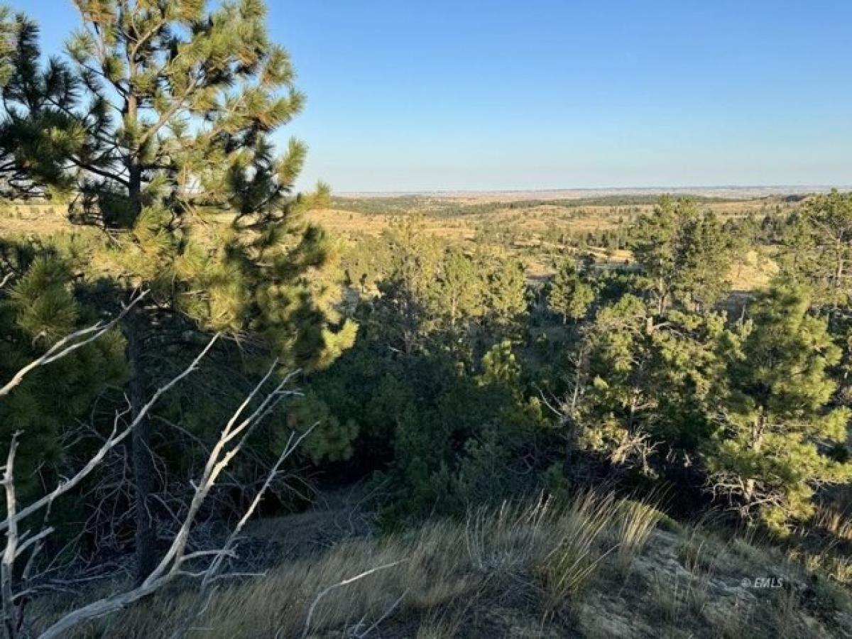 Picture of Residential Land For Sale in Miles City, Montana, United States