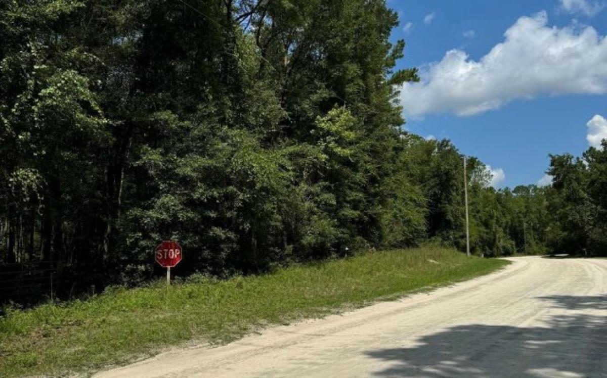 Picture of Residential Land For Sale in Fort White, Florida, United States