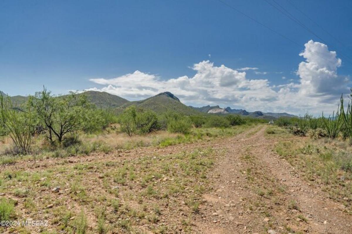 Picture of Residential Land For Sale in Vail, Arizona, United States