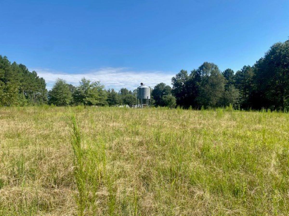 Picture of Residential Land For Sale in Tylertown, Mississippi, United States