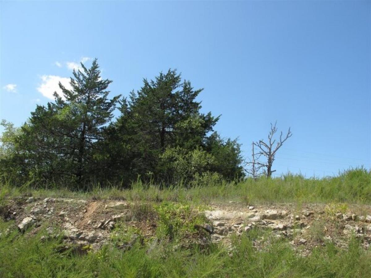 Picture of Residential Land For Sale in Branson, Missouri, United States