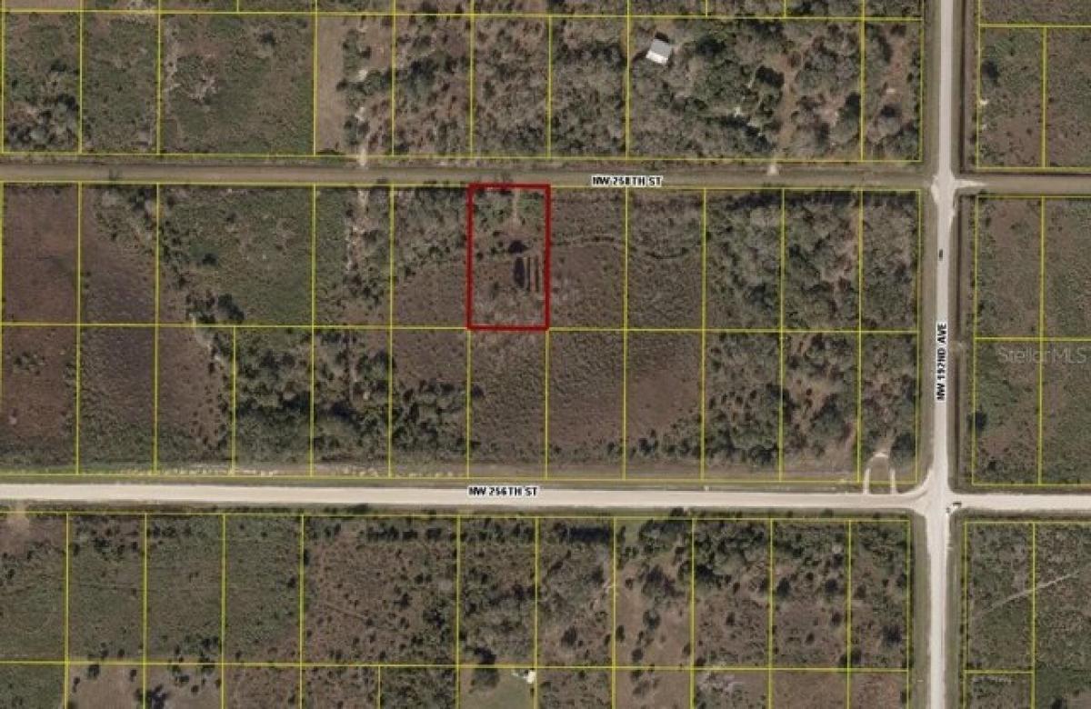 Picture of Residential Land For Sale in Okeechobee, Florida, United States