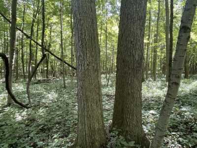 Residential Land For Sale in Cardington, Ohio