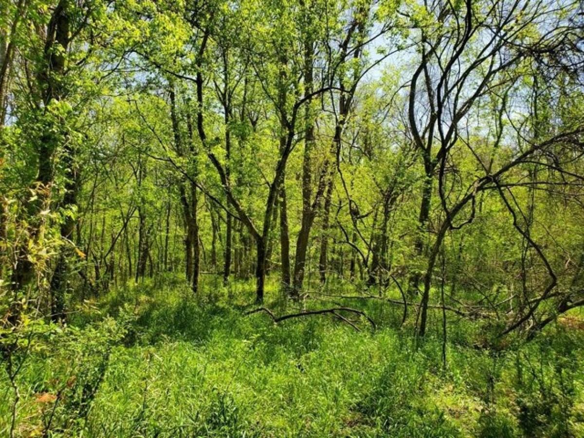 Picture of Residential Land For Sale in Vicksburg, Mississippi, United States