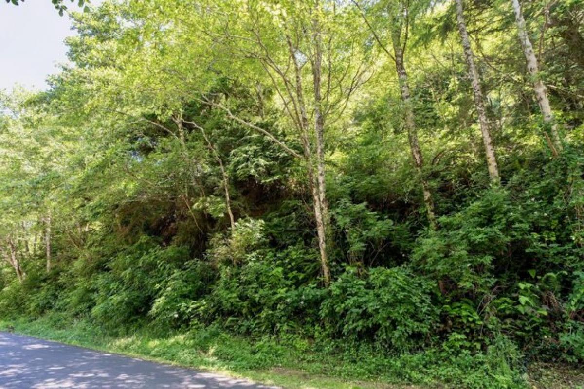 Picture of Residential Land For Sale in Rockaway Beach, Oregon, United States