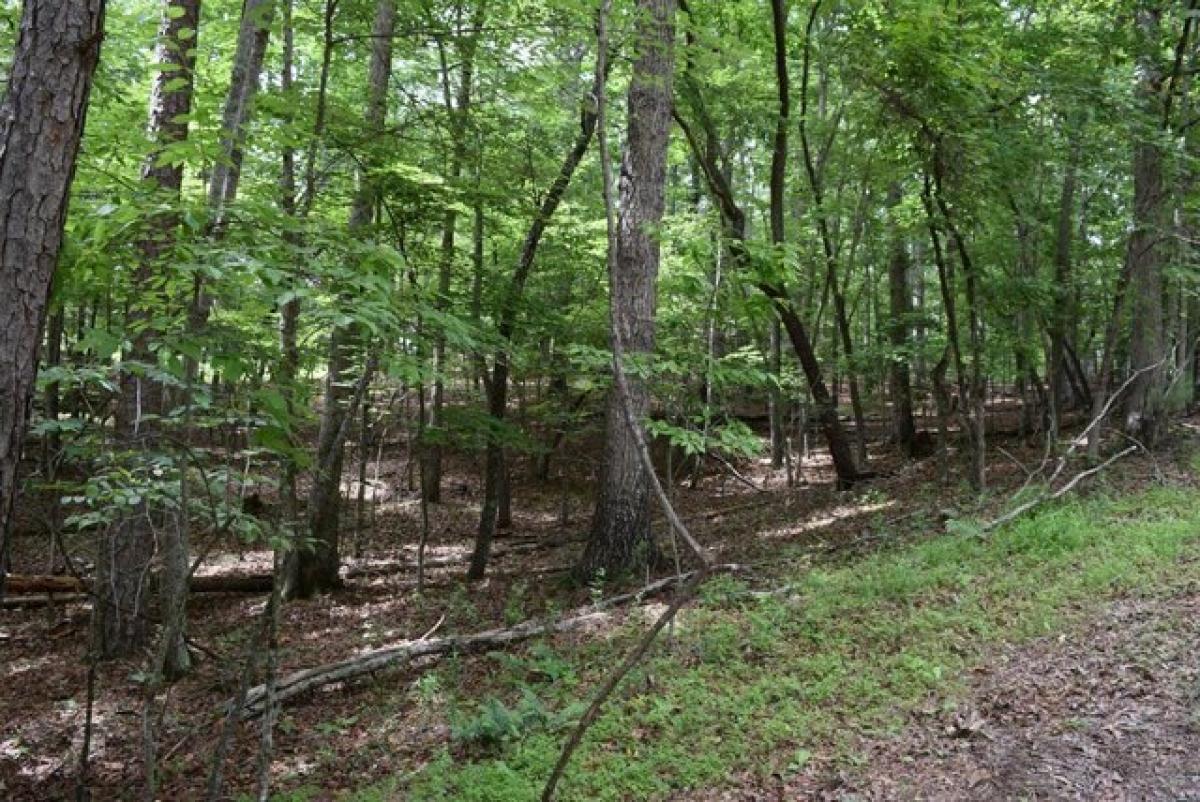 Picture of Residential Land For Sale in Ellijay, Georgia, United States