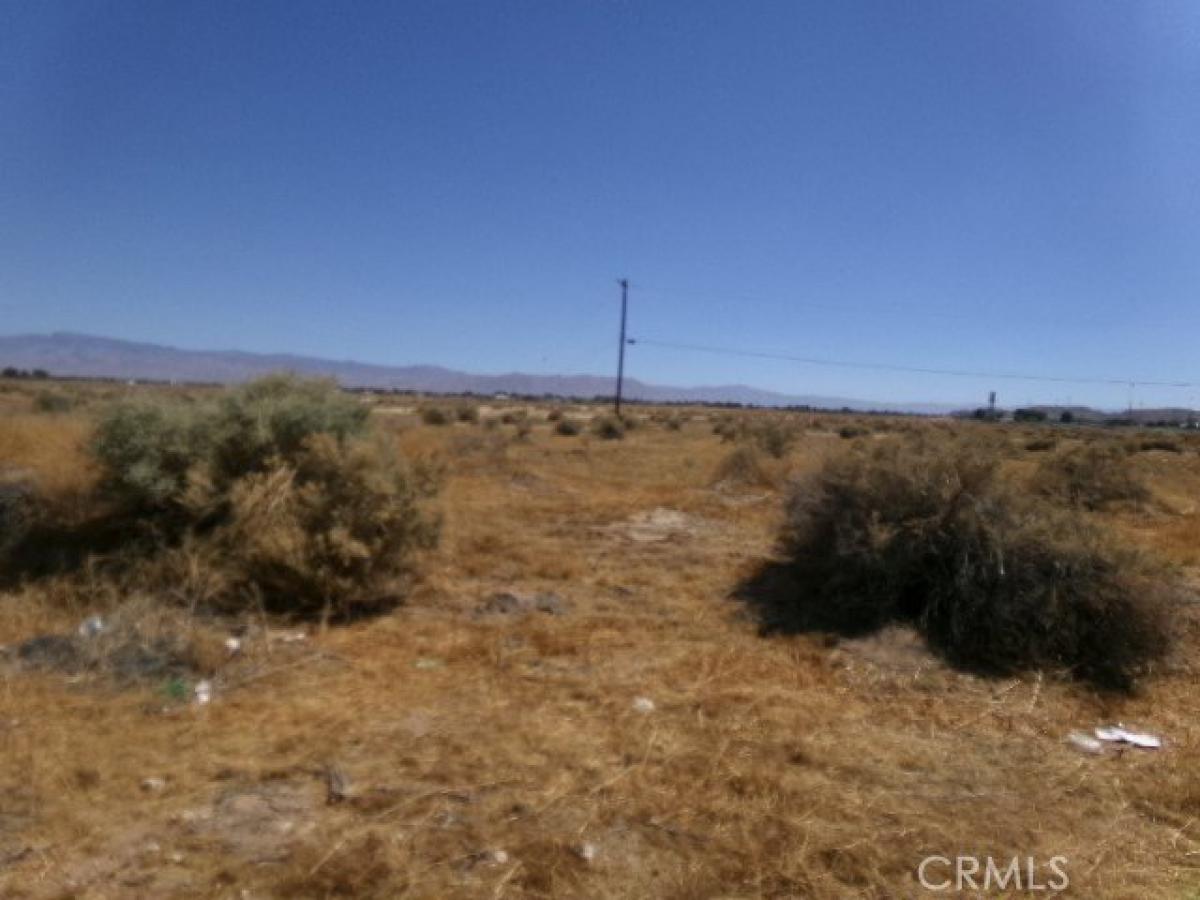 Picture of Residential Land For Sale in Apple Valley, California, United States