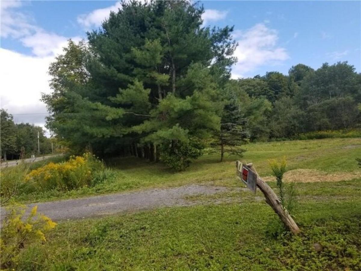 Picture of Residential Land For Sale in Odessa, New York, United States