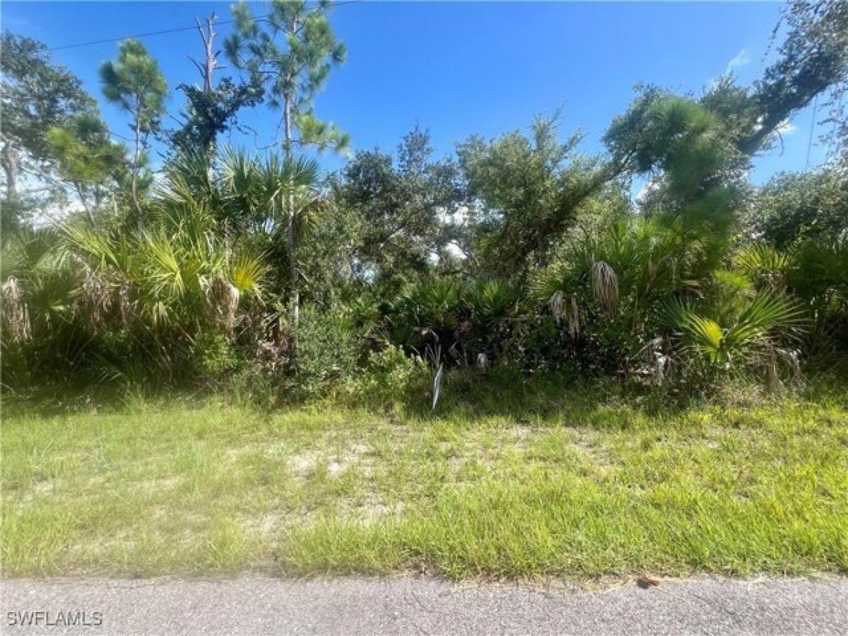 Picture of Residential Land For Sale in Port Charlotte, Florida, United States