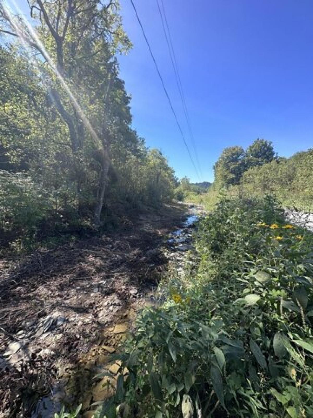 Picture of Residential Land For Sale in Liberty, Kentucky, United States